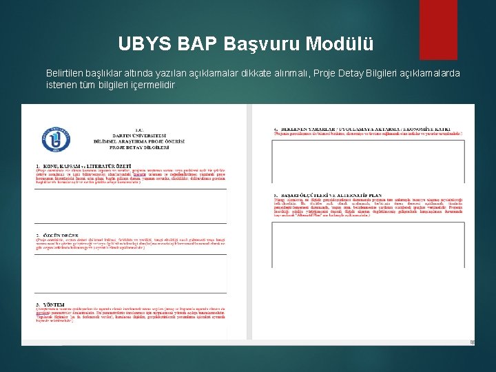 UBYS BAP Başvuru Modülü Belirtilen başlıklar altında yazılan açıklamalar dikkate alınmalı, Proje Detay Bilgileri