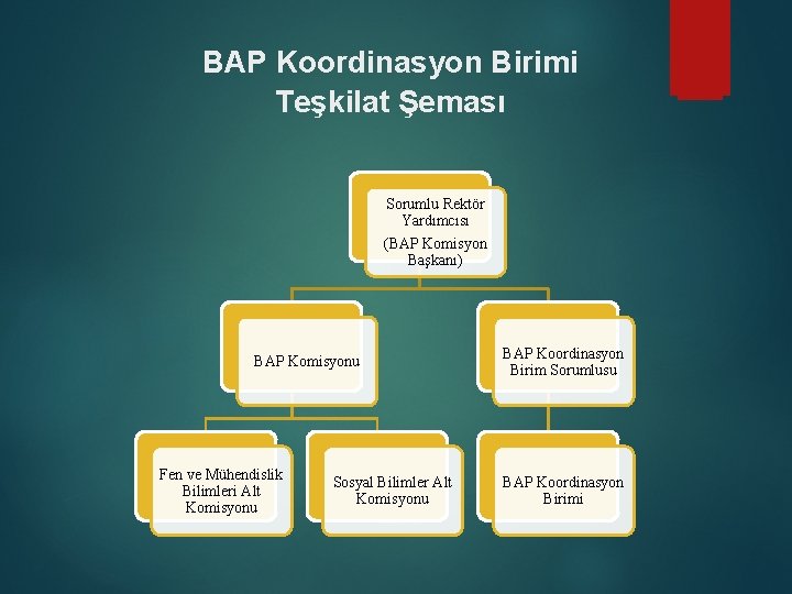 BAP Koordinasyon Birimi Teşkilat Şeması Sorumlu Rektör Yardımcısı (BAP Komisyon Başkanı) BAP Komisyonu Fen