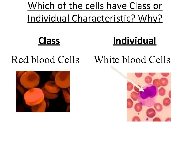 Which of the cells have Class or Individual Characteristic? Why? Class Red blood Cells