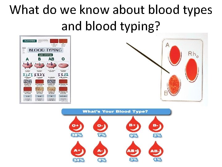 What do we know about blood types and blood typing? 