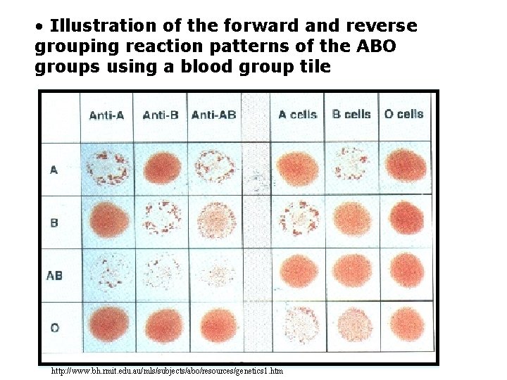  • Illustration of the forward and reverse grouping reaction patterns of the ABO