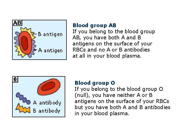 Blood group AB If you belong to the blood group AB, you have both