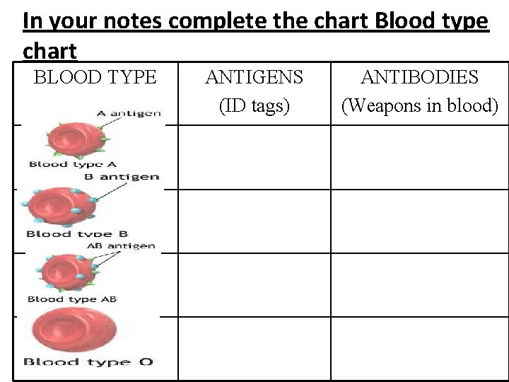 In your notes complete the chart Blood type chart BLOOD TYPE A B AB