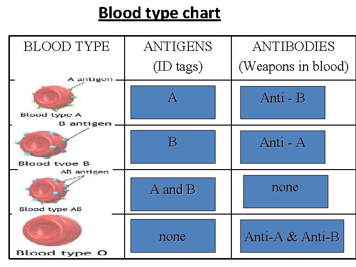 Blood type chart BLOOD TYPE ANTIGENS (ID tags) ANTIBODIES (Weapons in blood) A A