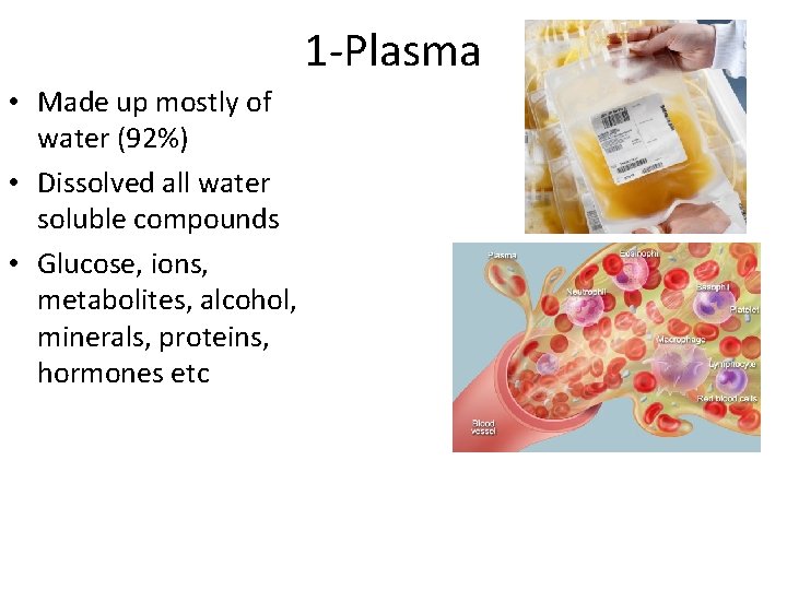 1 -Plasma • Made up mostly of water (92%) • Dissolved all water soluble