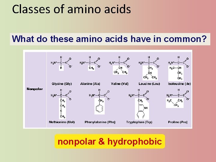 Classes of amino acids What do these amino acids have in common? nonpolar &