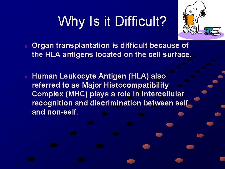 Why Is it Difficult? n n Organ transplantation is difficult because of the HLA