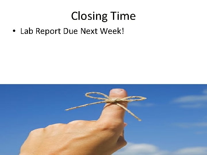 Closing Time • Lab Report Due Next Week! 