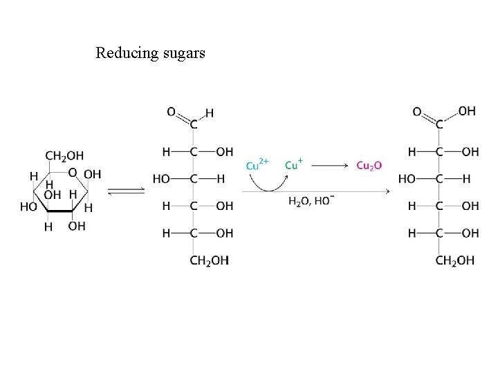 Reducing sugars 