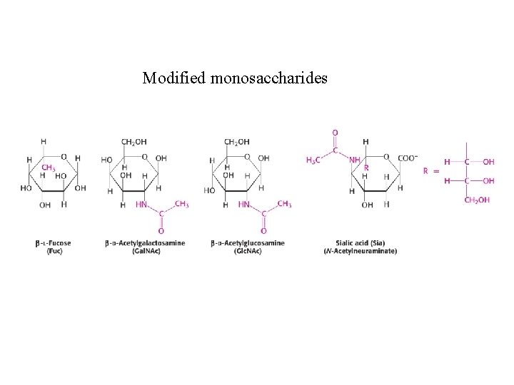 Modified monosaccharides 