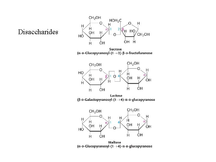 Disaccharides 