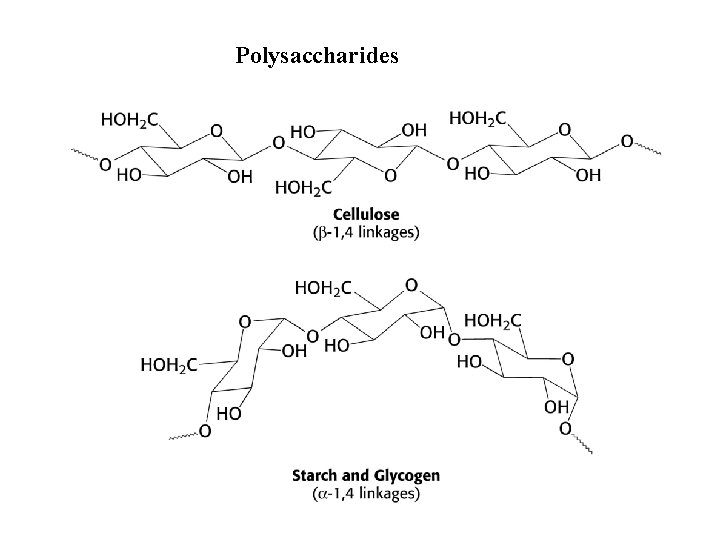 Polysaccharides 