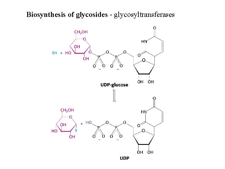 Biosynthesis of glycosides - glycosyltransferases 