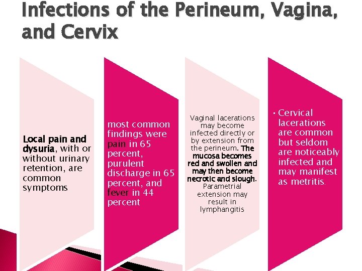 Infections of the Perineum, Vagina, and Cervix Local pain and dysuria, with or without