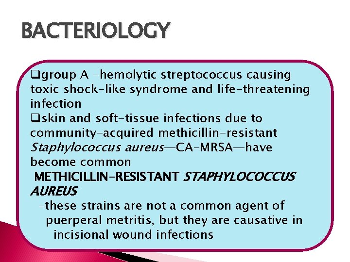 BACTERIOLOGY qgroup A -hemolytic streptococcus causing toxic shock-like syndrome and life-threatening infection qskin and