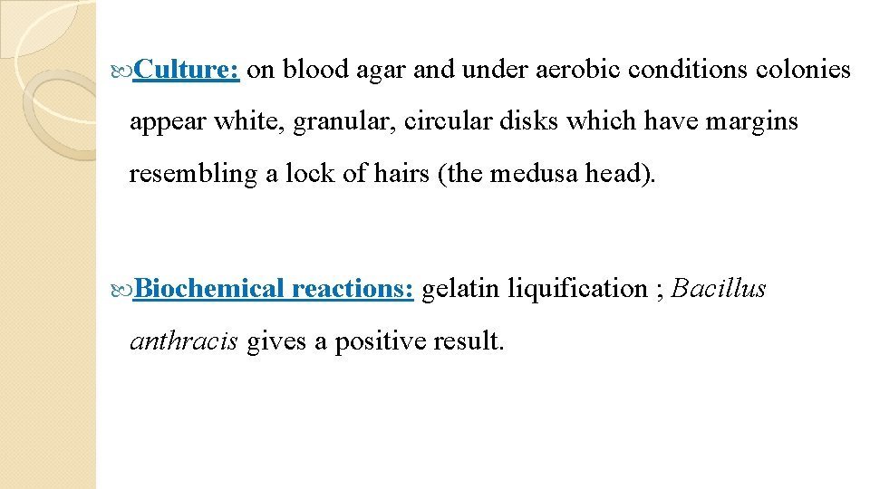  Culture: on blood agar and under aerobic conditions colonies appear white, granular, circular