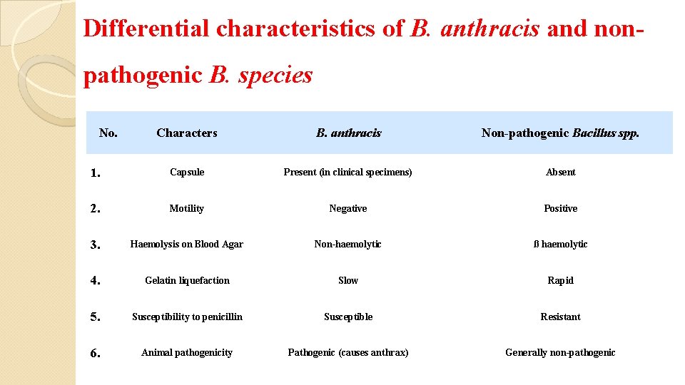 Differential characteristics of B. anthracis and nonpathogenic B. species No. Characters B. anthracis Non-pathogenic
