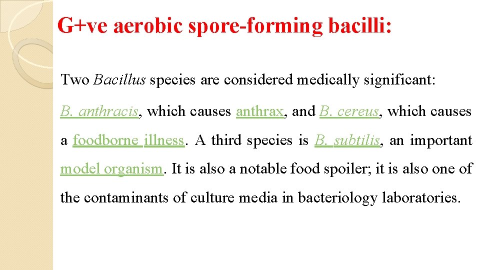 G+ve aerobic spore-forming bacilli: Two Bacillus species are considered medically significant: B. anthracis, which