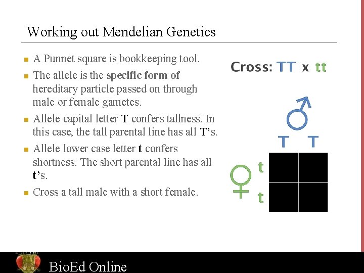 Working out Mendelian Genetics n n n A Punnet square is bookkeeping tool. The