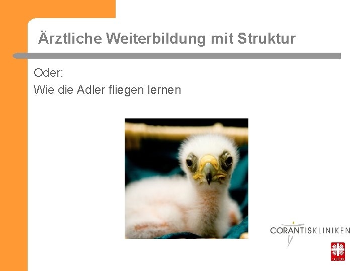 Ärztliche Weiterbildung mit Struktur Oder: Wie die Adler fliegen lernen 