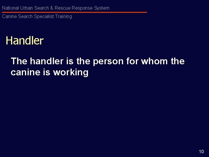 National Urban Search & Rescue Response System Canine Search Specialist Training Handler The handler