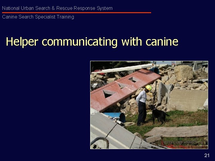 National Urban Search & Rescue Response System Canine Search Specialist Training Helper communicating with