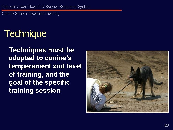 National Urban Search & Rescue Response System Canine Search Specialist Training Techniques must be