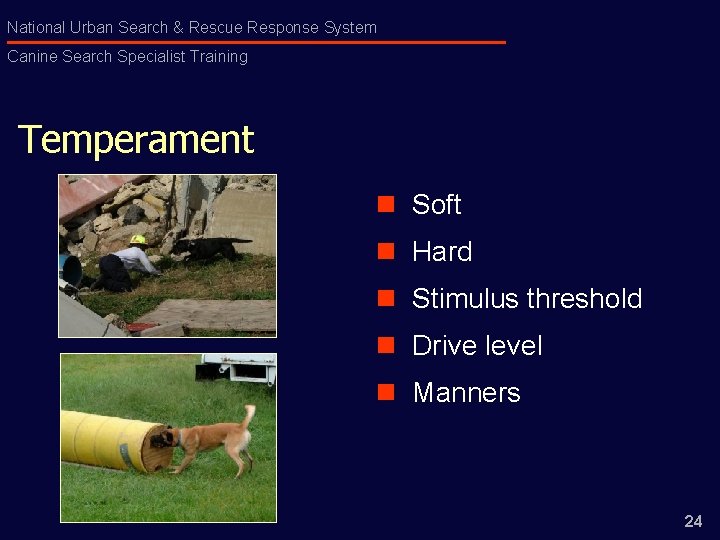 National Urban Search & Rescue Response System Canine Search Specialist Training Temperament n Soft