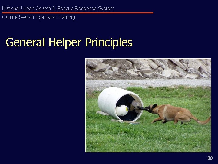 National Urban Search & Rescue Response System Canine Search Specialist Training General Helper Principles