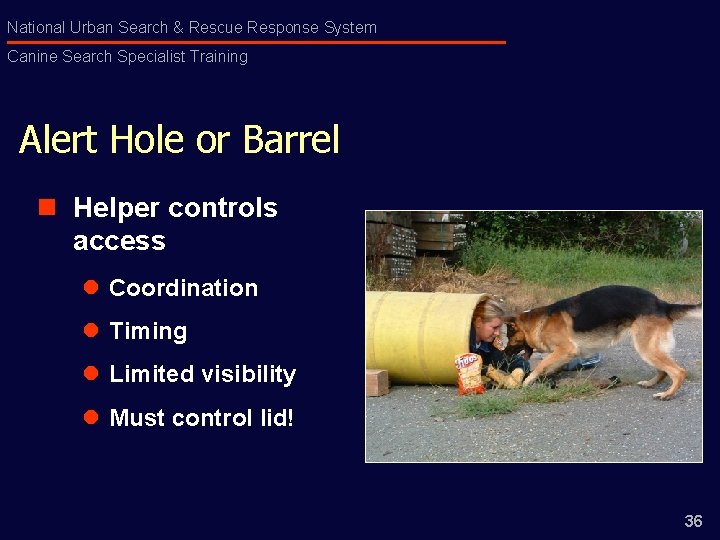 National Urban Search & Rescue Response System Canine Search Specialist Training Alert Hole or