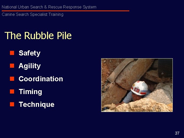 National Urban Search & Rescue Response System Canine Search Specialist Training The Rubble Pile