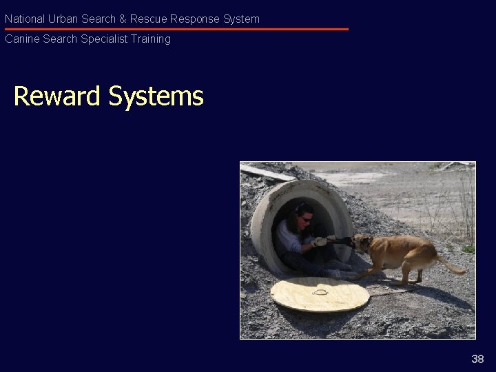 National Urban Search & Rescue Response System Canine Search Specialist Training Reward Systems 38