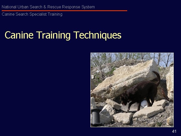 National Urban Search & Rescue Response System Canine Search Specialist Training Canine Training Techniques