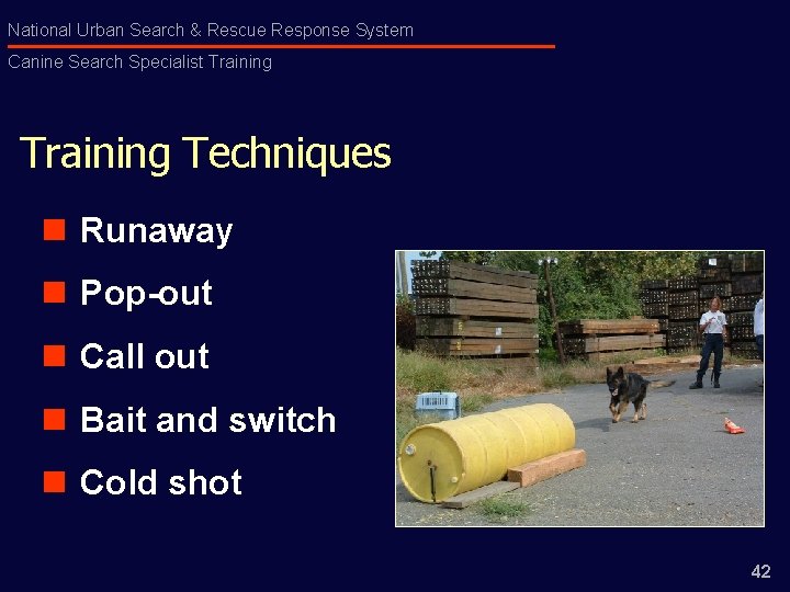 National Urban Search & Rescue Response System Canine Search Specialist Training Techniques n Runaway