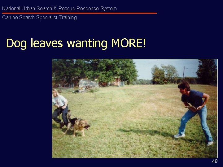 National Urban Search & Rescue Response System Canine Search Specialist Training Dog leaves wanting