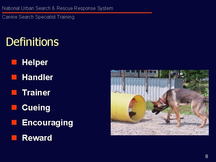 National Urban Search & Rescue Response System Canine Search Specialist Training Definitions n Helper