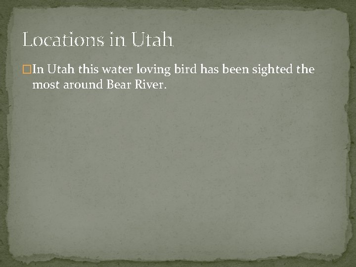 Locations in Utah �In Utah this water loving bird has been sighted the most