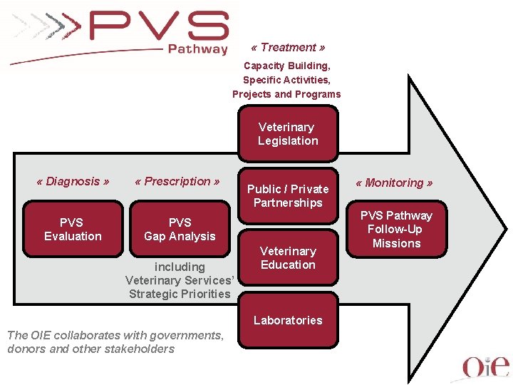  « Treatment » Capacity Building, Specific Activities, Projects and Programs Veterinary Legislation «