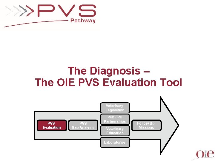The Diagnosis – The OIE PVS Evaluation Tool PVS Evaluation PVS Gap Analysis Follow-Up