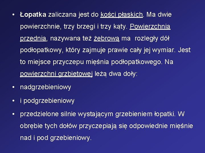  • Łopatka zaliczana jest do kości płaskich. Ma dwie powierzchnie, trzy brzegi i