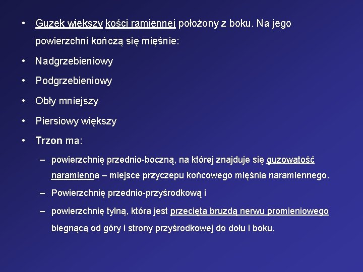  • Guzek większy kości ramiennej położony z boku. Na jego powierzchni kończą się