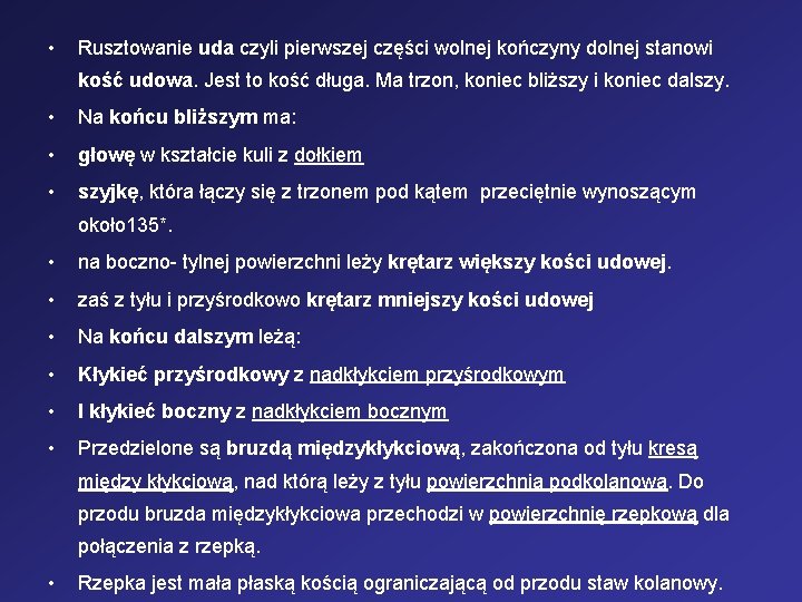  • Rusztowanie uda czyli pierwszej części wolnej kończyny dolnej stanowi kość udowa. Jest