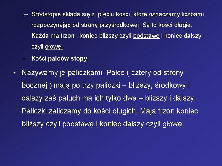 – Śródstopie składa się z pięciu kości, które oznaczamy liczbami rozpoczynając od strony przyśrodkowej.