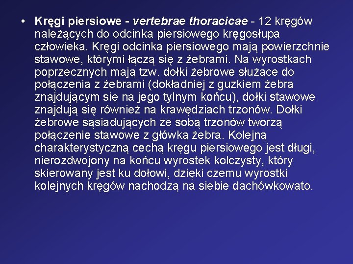  • Kręgi piersiowe - vertebrae thoracicae - 12 kręgów należących do odcinka piersiowego