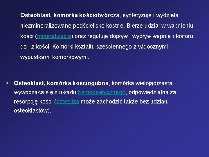 Osteoblast, komórka kościotwórcza, syntetyzuje i wydziela niezmineralizowane podścielisko kostne. Bierze udział w wapnieniu kości