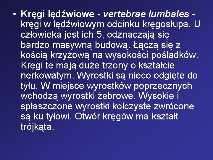  • Kręgi lędźwiowe - vertebrae lumbales kręgi w lędźwiowym odcinku kręgosłupa. U człowieka