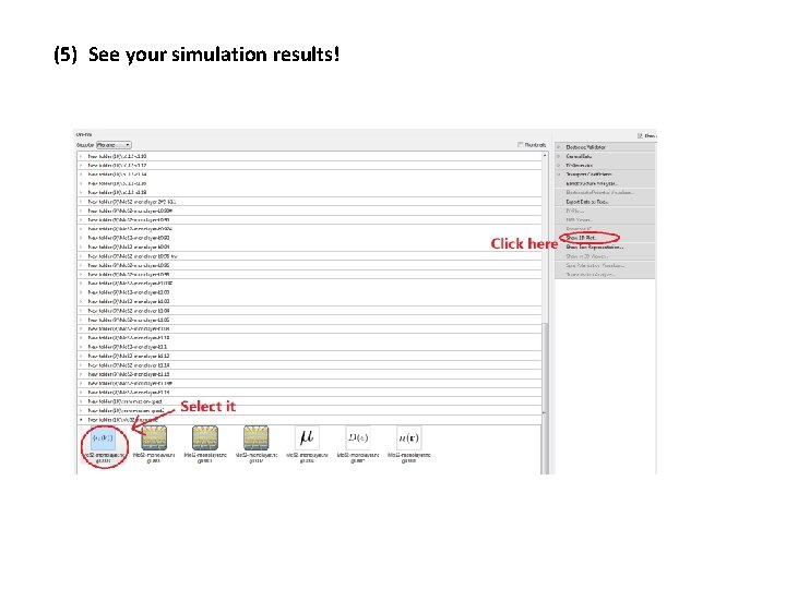 (5) See your simulation results! 