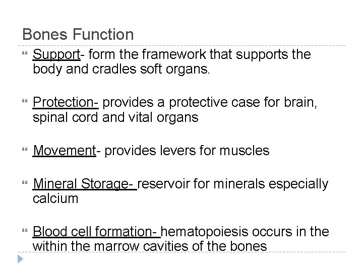 Bones Function Support- form the framework that supports the body and cradles soft organs.