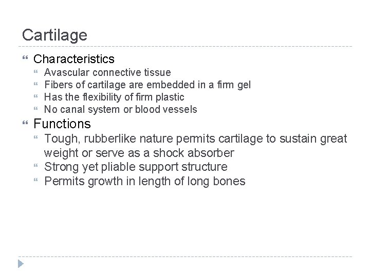 Cartilage Characteristics Avascular connective tissue Fibers of cartilage are embedded in a firm gel