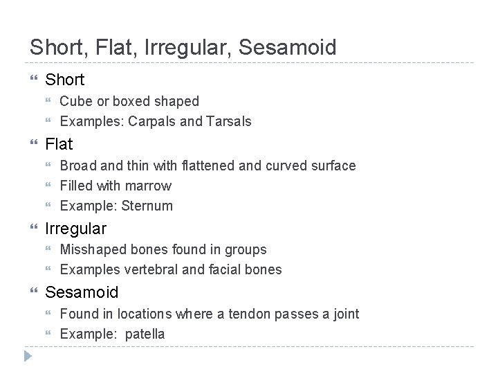 Short, Flat, Irregular, Sesamoid Short Flat Broad and thin with flattened and curved surface